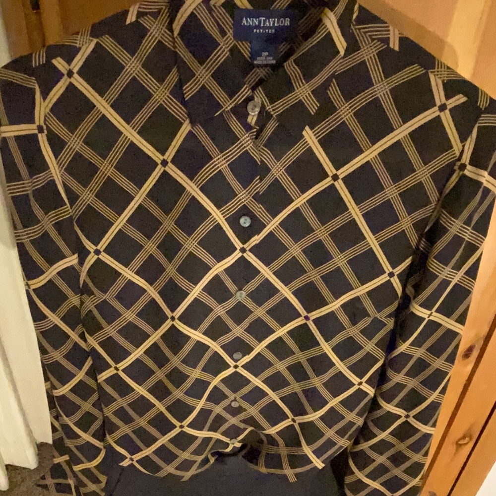 Ann Taylor Petites  beautifully tailored silk dress shirt women’s 2P